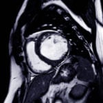 istockphoto 1459667858 612x612 1