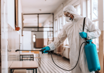 Top Rated Pest Control Company in Abu Dhabi | Al WahaHygiene