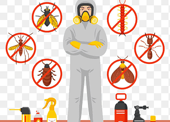 Pest Control Abu Dhabi – Al Waha Hygiene