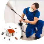 Call Now for Reliable Pest Control Services Near Me