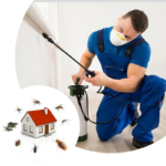 1 CPv6CLGyQmok1hMDMh5Bkw