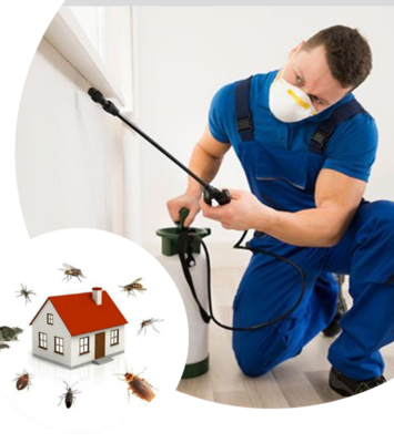 1 CPv6CLGyQmok1hMDMh5Bkw