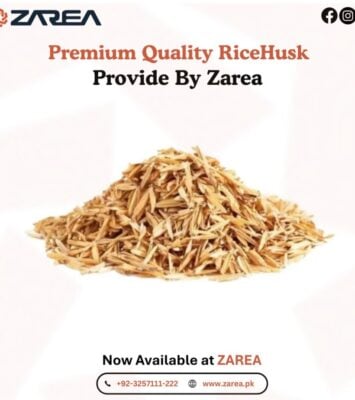 554653526 122196171014050120 3353712824875281518 n 1