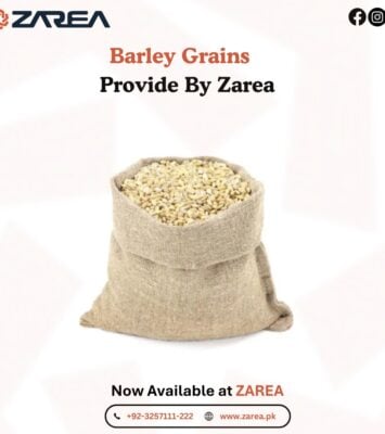 623235291 122206463420050120 988473468457362803 n