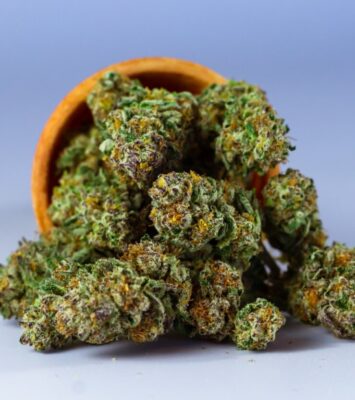 Best Cannabis Strains for ADHD