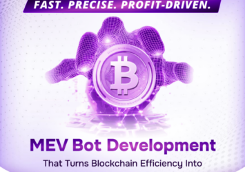 Custom MEV Bot Development Services At Low Cost