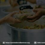 Vijaychickblinddecor21