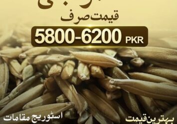 Munji (منجی) - Buy Online on Zarea Limited