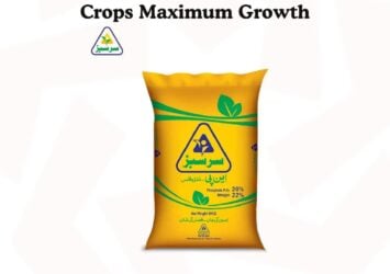 561191703 122197412990050120 9000778783664562404 n