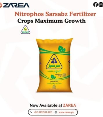 561191703 122197412990050120 9000778783664562404 n