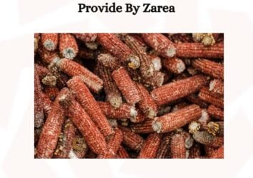 623449170 122206953110050120 8394824838863227490 n 1