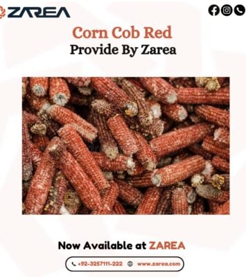 623449170 122206953110050120 8394824838863227490 n