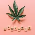 Cannabis for Nerve Pain