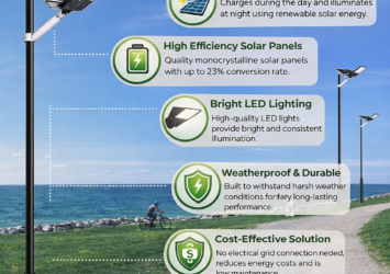 ChatGPT Image Feb 6 2026 04 17 41 PM