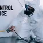 Best Pest Control Services by Karachi Fumigation