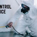 Best Pest Control Services by Karachi Fumigation