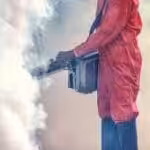 Pest Control and Fumigation Services