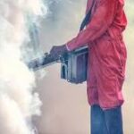 One Roof Fumigation Services 1