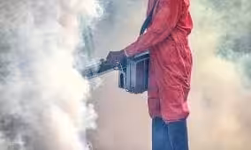 Pest Control and Fumigation Services