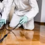 Pest Control Services Dubai | VIPCleaning UAE