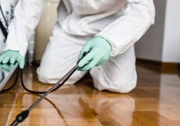 Pest Control Company Dubai by VIP cleaning