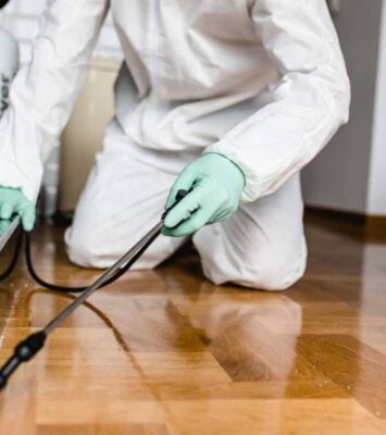 Pest Control Company Dubai by VIP cleaning