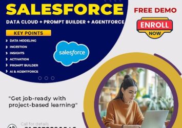 Salesforce Data Cloud Classes | Online Training