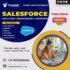 Salesforce Data Cloud Classes | Online Training