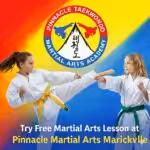 Pinnacle Taekwondo Martial Arts In Earlwood