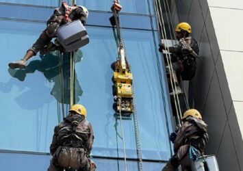 Bed Bugs Pest Control Dubai | Fast & Guaranteed Relief