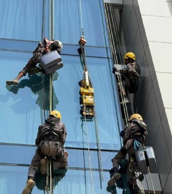 Bed Bugs Pest Control Dubai | Fast & Guaranteed Relief