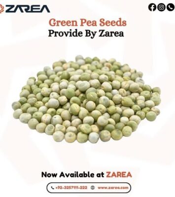 Green Pea Seeds now available on Zarea