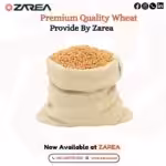Wheat - Buy Online on Zarea Limited
