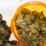 Apply for Cannabis Card VA