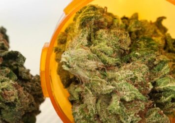 Apply for Cannabis Card VA