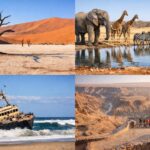 Namibia eVisa for South African Citizens