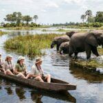 Botswana eVisa for Egyptian Citizens