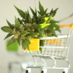 Get VA Medical Marijuanas Card