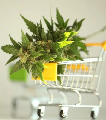 Get VA Medical Marijuanas Card