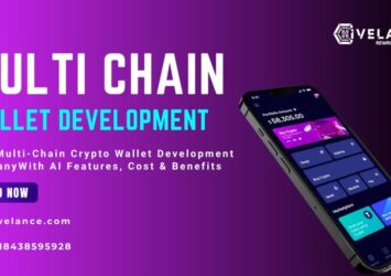 Multi-Chain Crypto Wallet Development Company - Hivelance