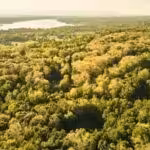 Property For Sale Woodbury CT