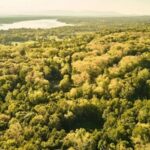 Property For Sale Woodbury CT