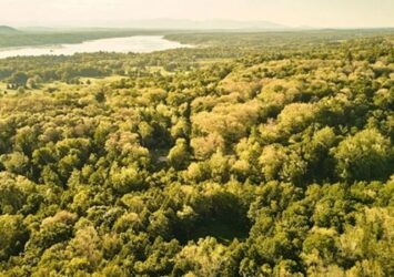 Property For Sale Woodbury CT