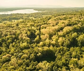 Property For Sale Woodbury CT