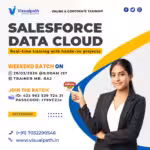 Salesforce Data Cloud Weekend Batch – Limited Seats!