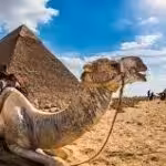 Egypt eVisa for Canada Citizens – Application Process