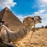 Egypt eVisa for Canada Citizens – Application Process