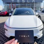 Avatar of Elon Musk Tesla