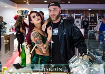 All-in-One Disposable Vape Options