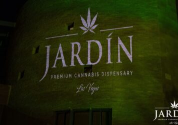 Pure CBD in Las Vegas, Nevada